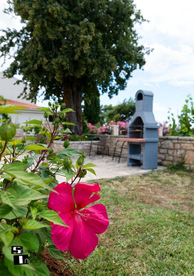 Charming Stone Cottage By The Sea Umag Ngoại thất bức ảnh